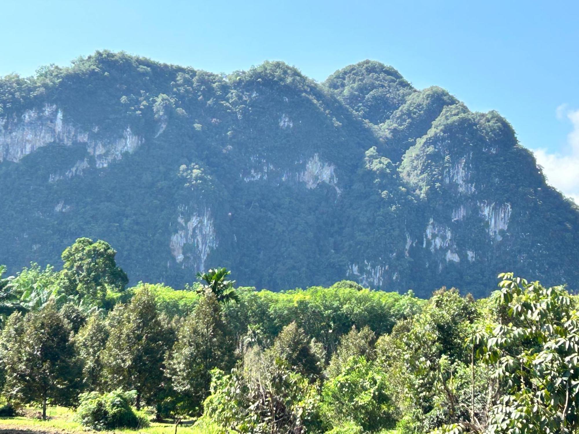 Khaosok Secret Hostel Khao Sok National Park Exterior photo